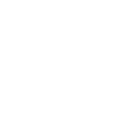 Pořízeno